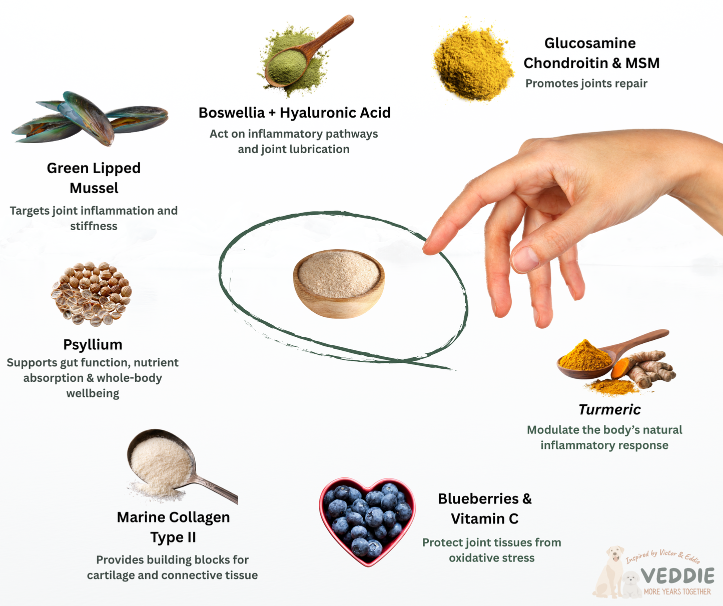 VEDDIE Joint & Mobility — Victor Series (5+)