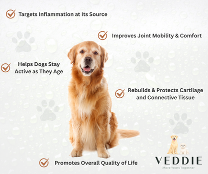 VEDDIE Joint & Mobility – Victor Series (Senior Dogs 5+)