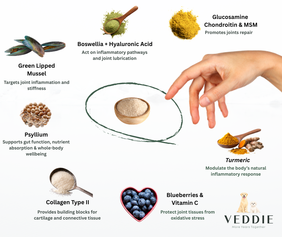 VEDDIE Joint & Mobility – Victor Series (Senior Dogs 5+)