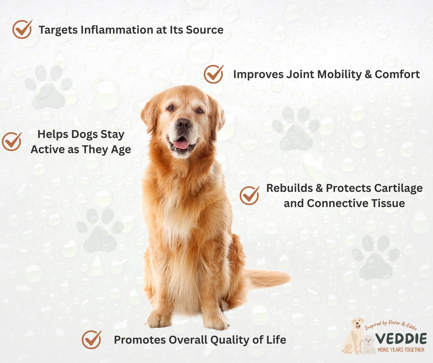 VEDDIE Joint & Mobility – Victor Series (Senior Dogs 5+)
