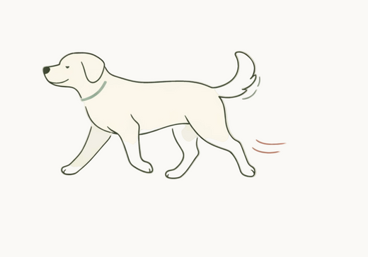 Άνεση στην κίνηση