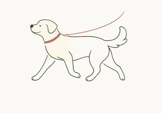 Μεγαλύτερες βόλτες