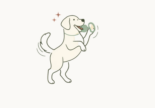 Παιχνιδιάρικη διάθεση